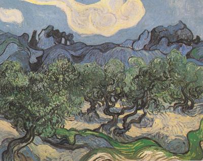 Vincent Van Gogh Olive Trees with the Alpilles in the Background (nn04) oil painting image